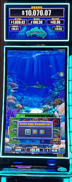 Welcome Bonus Package